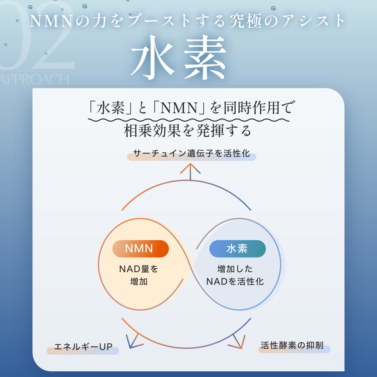医科学シリーズ NMN 54000 – HiToKi